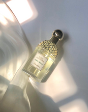 Load image into Gallery viewer, [香水] GUERLAIN AQUA ALLEGORIA HERBA FRESCA EDT
