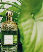 Load image into Gallery viewer, [香水] GUERLAIN AQUA ALLEGORIA HERBA FRESCA EDT
