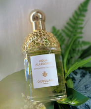 Load image into Gallery viewer, [香水] GUERLAIN AQUA ALLEGORIA BERGAMOTE CALABRIA EDT
