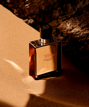 Load image into Gallery viewer, [香水] HERMES TERRE D&#39;HERMÈS EDP
