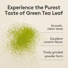 Load image into Gallery viewer, [韩国] OSULLOC 绿茶粉
