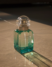 Load image into Gallery viewer, [香水] HERMES UN JARDIN SUR LE NIL EDT
