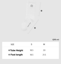 Load image into Gallery viewer, [韩国] Wacky Willy 01 袜子
