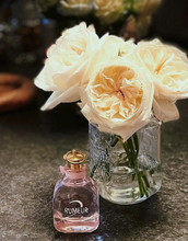 Load image into Gallery viewer, [香水] LANVIN RUMEUR 2 ROSE EDP

