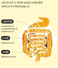 Load image into Gallery viewer, [韩国] Lacto Fit 益生菌
