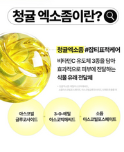 Load image into Gallery viewer, [韩国] Goodal VC美白面霜
