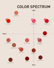 Load image into Gallery viewer, [韩国] 3CE Velvet Lip Tint
