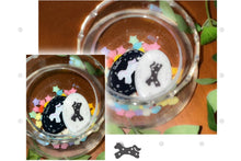 Load image into Gallery viewer, [韩国] NineteenFriday 吊饰收纳
