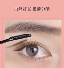 Load image into Gallery viewer, [日本] Ettusais 艾杜纱睫毛膏
