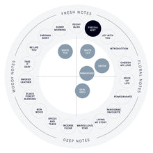 Load image into Gallery viewer, [日本] SHIRO 19 浓香扩香
