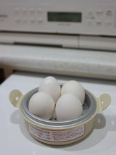 Load image into Gallery viewer, [日本] 3coins 微波蒸蛋器
