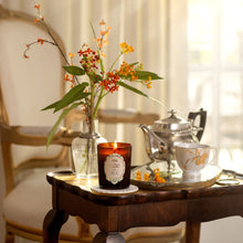 Load image into Gallery viewer, [日本] Sabon 香氛蜡烛
