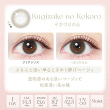 Load image into Gallery viewer, [日本] EVER COLOR NATURAL 日抛
