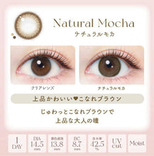 Load image into Gallery viewer, [日本] EVER COLOR NATURAL 日抛
