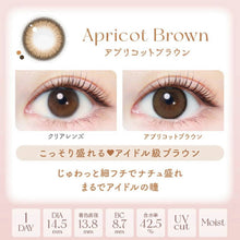 Load image into Gallery viewer, [日本] EVER COLOR NATURAL 日抛
