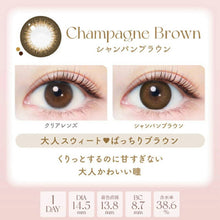 Load image into Gallery viewer, [日本] EVER COLOR NATURAL 日抛
