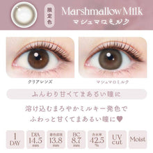 Load image into Gallery viewer, [日本] EVER COLOR NATURAL 日抛
