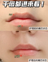 Load image into Gallery viewer, [日本] DHC 橄榄护唇膏
